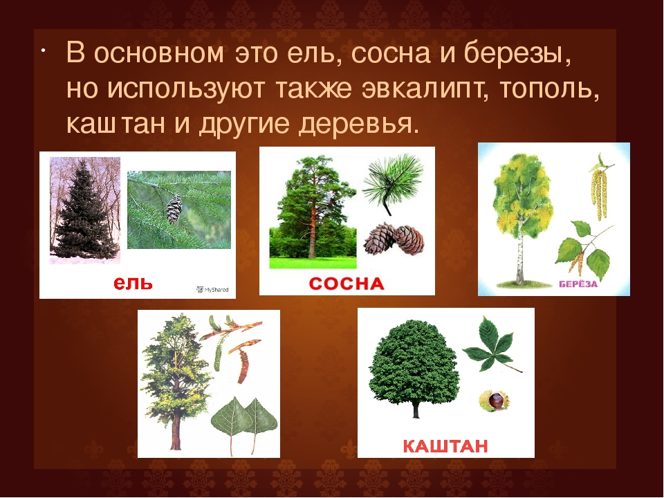 Презентация для дошкольников "Как рождается книга"