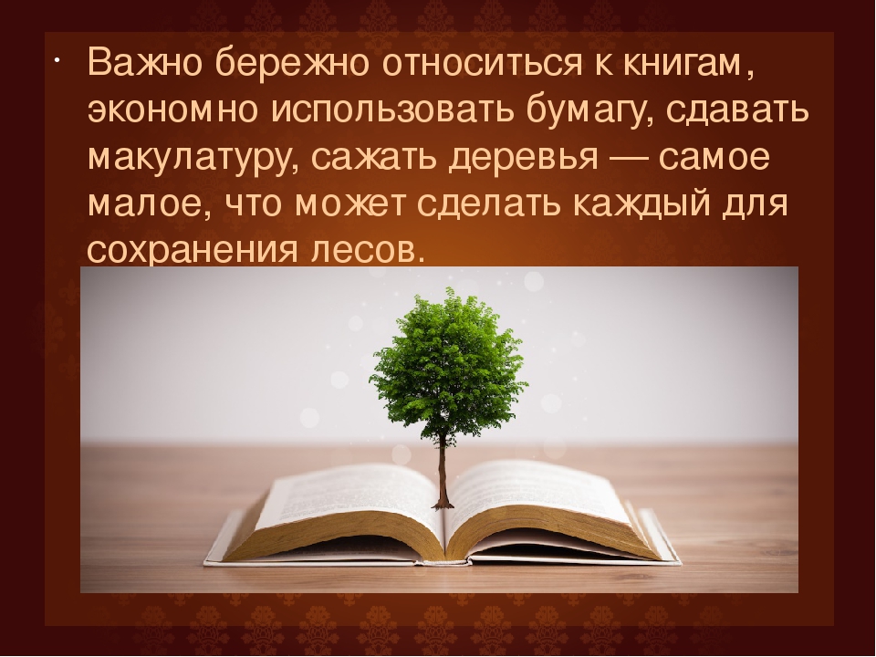 Презентация для дошкольников "Как рождается книга"