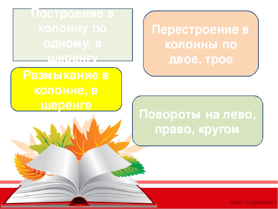 ПЕДСОВЕТ № 2 «Здоровье и физическое развитие детей раннего возраста»