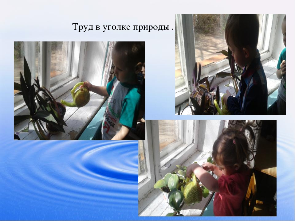 Презентация проекта "Вода- волшебница"