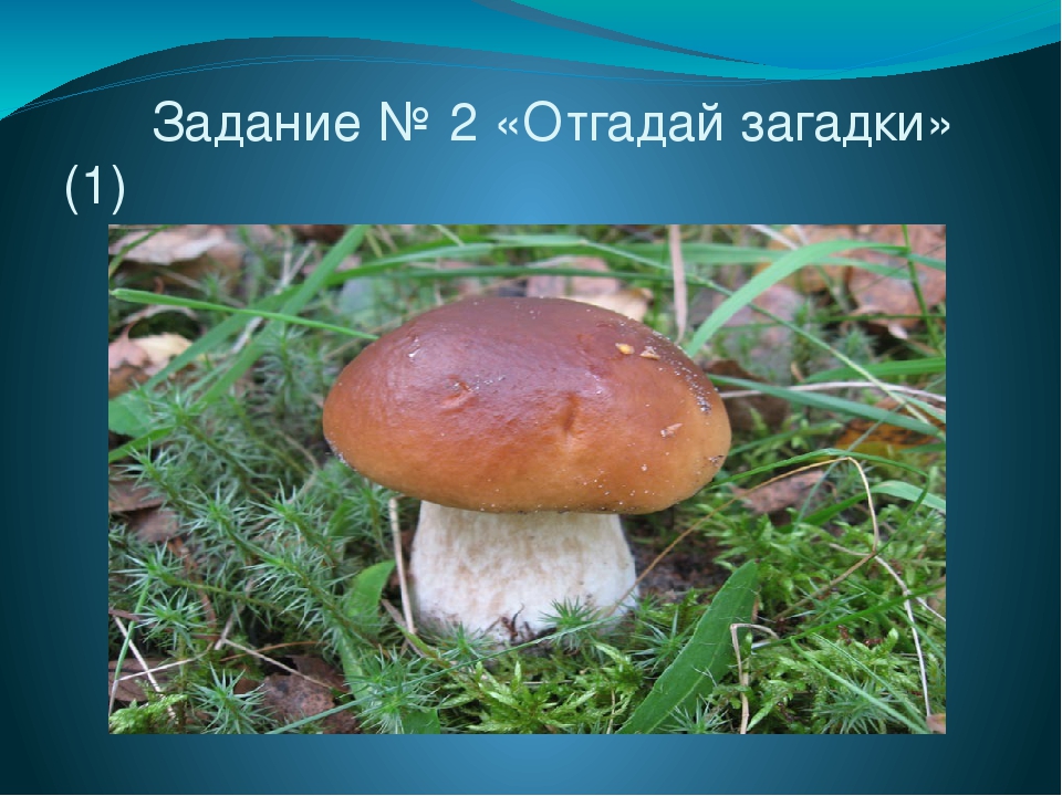 Презентация по теме "Задания от бабы Яги"