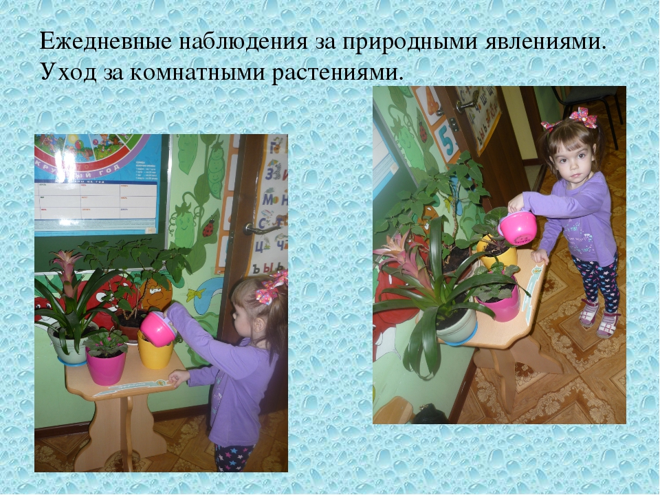 Презентация "Вода и ее свойства". Вторая младшая группа