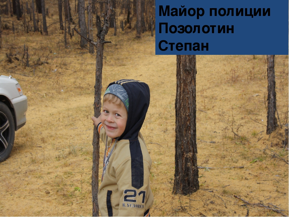 Презентация к нод "таинственное исчезновение" по ознакомлению с окружающим