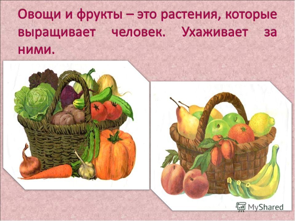 Презентация "Овощи и фрукты"