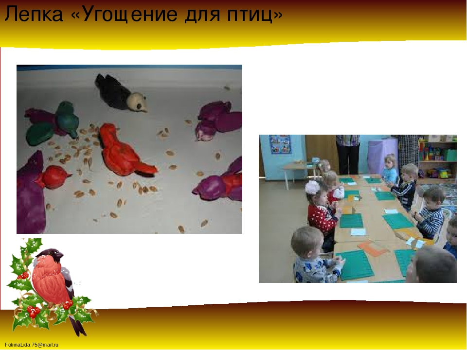 Проект « Зимующие птицы