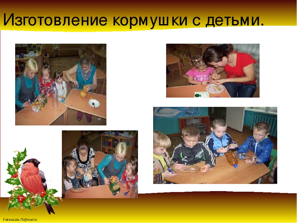 Проект « Зимующие птицы