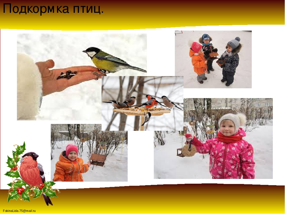 Проект « Зимующие птицы