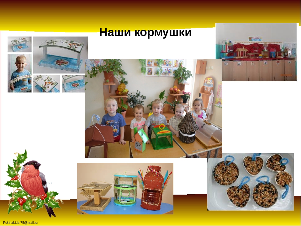 Проект « Зимующие птицы