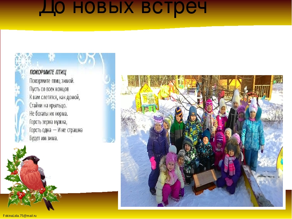 Проект « Зимующие птицы