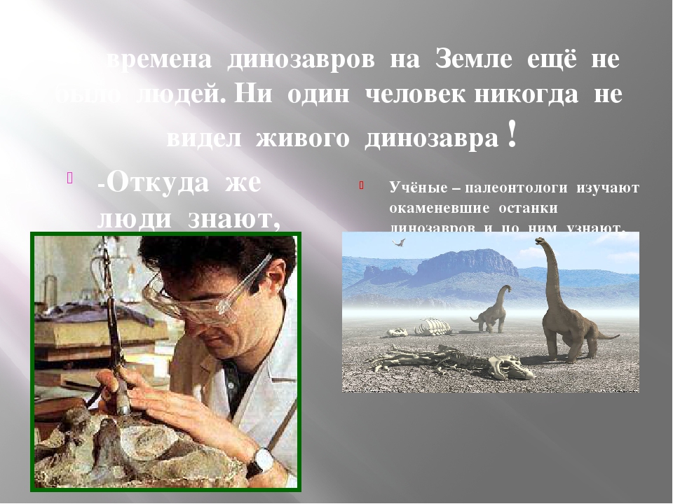 Презентация по теме "Кто такие динозавры"