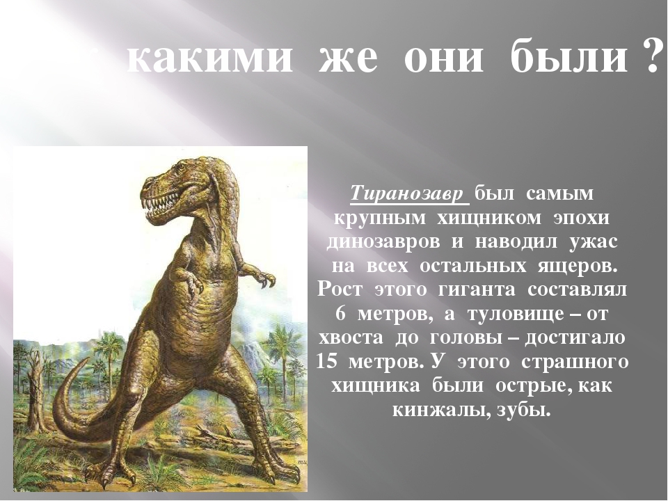 Презентация по теме "Кто такие динозавры"