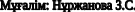 Shape7