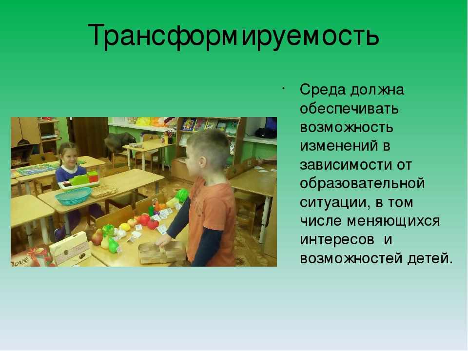 Требования ФГОС к развивающей предметно-пространственной среде.