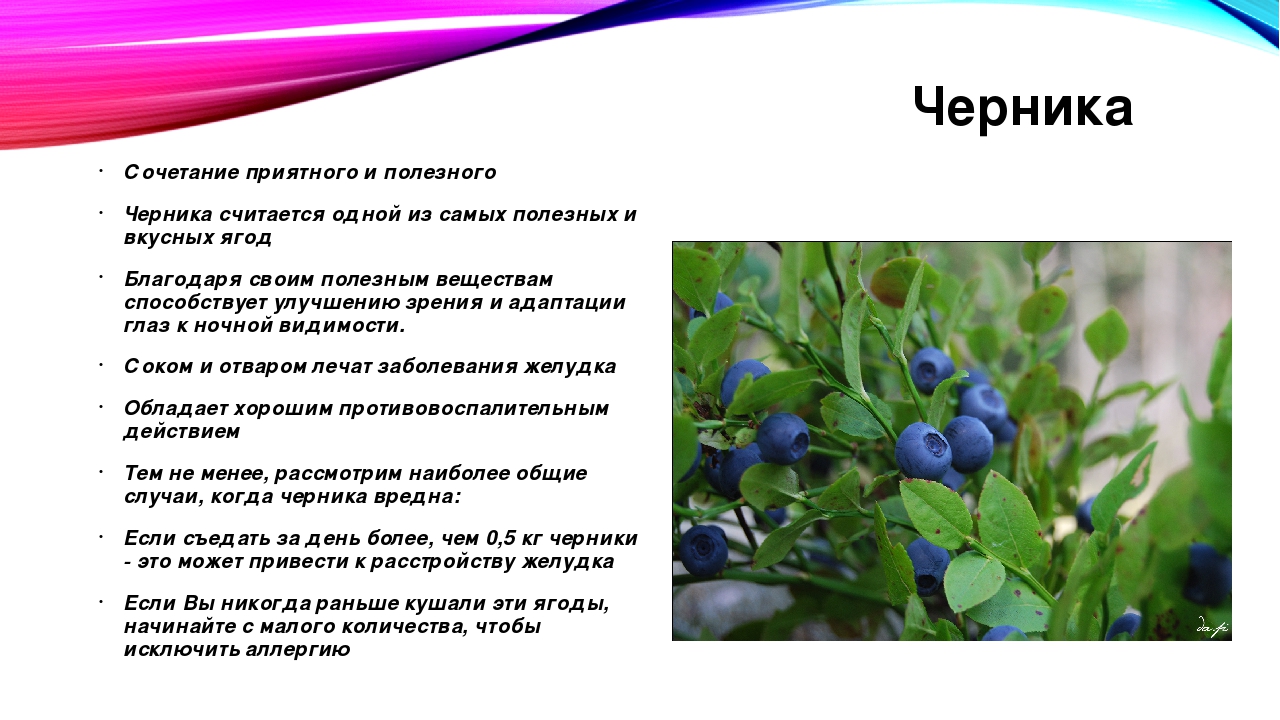 Презентация для детского сада летние ягоды