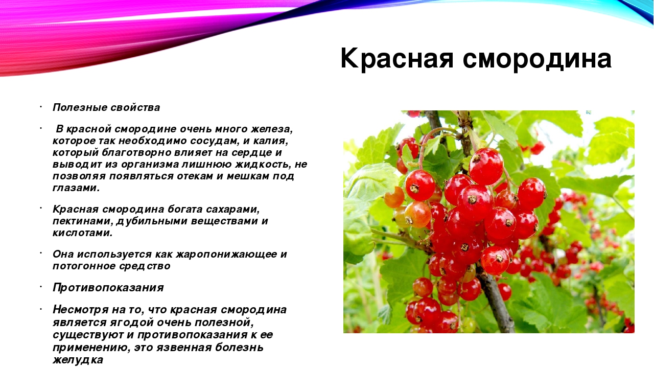 Презентация для детского сада летние ягоды