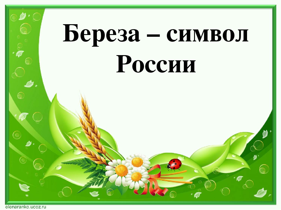 Презентация "Береза - символ России"