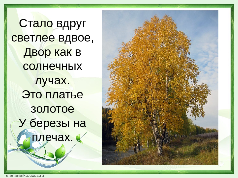 Презентация "Береза - символ России"