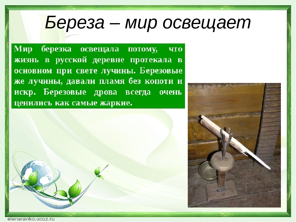 Презентация "Береза - символ России"