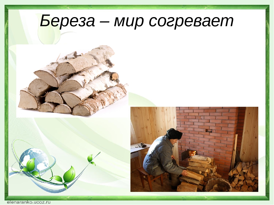 Презентация "Береза - символ России"