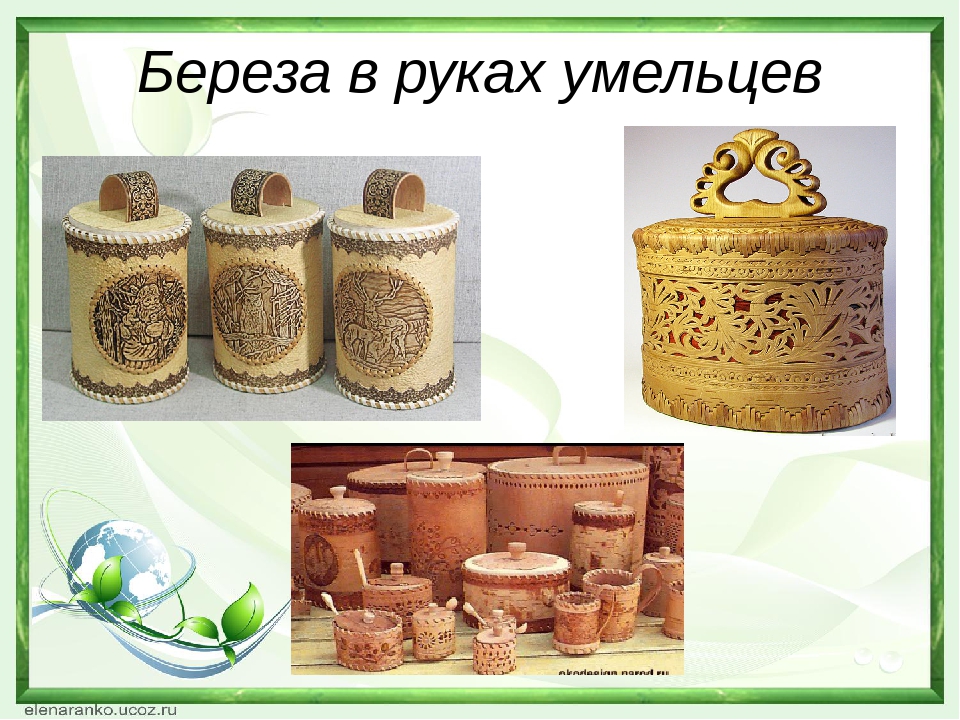 Презентация "Береза - символ России"
