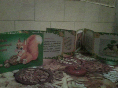 Picture 1