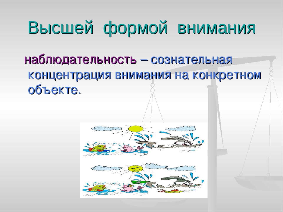 "Игры на развитие внимания".