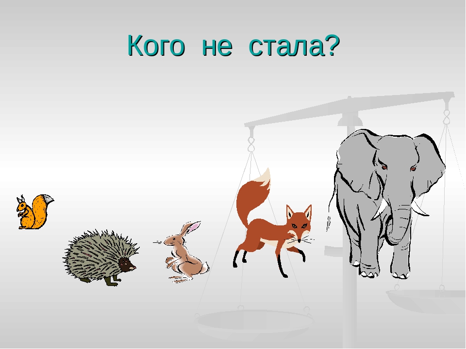 "Игры на развитие внимания".