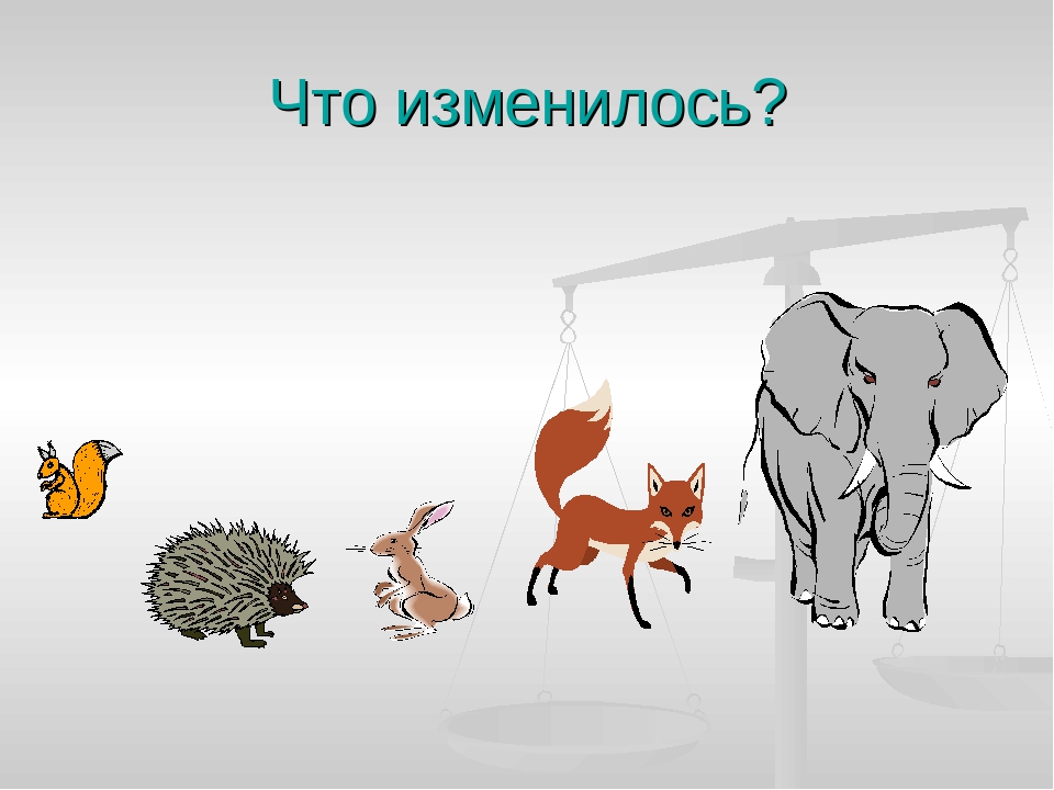 "Игры на развитие внимания".