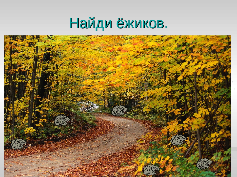"Игры на развитие внимания".