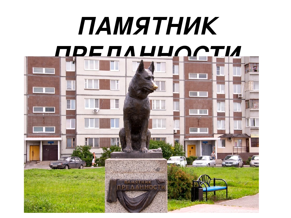 Электронное пособие на тему "Наш город Тольятти"