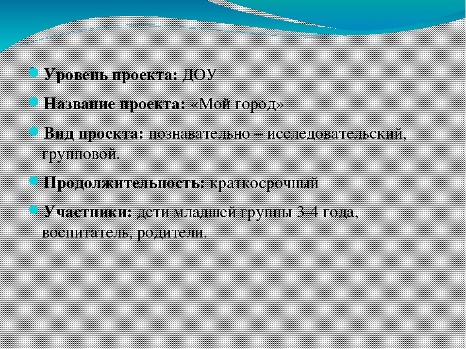 Презентация Проект "Мой город"