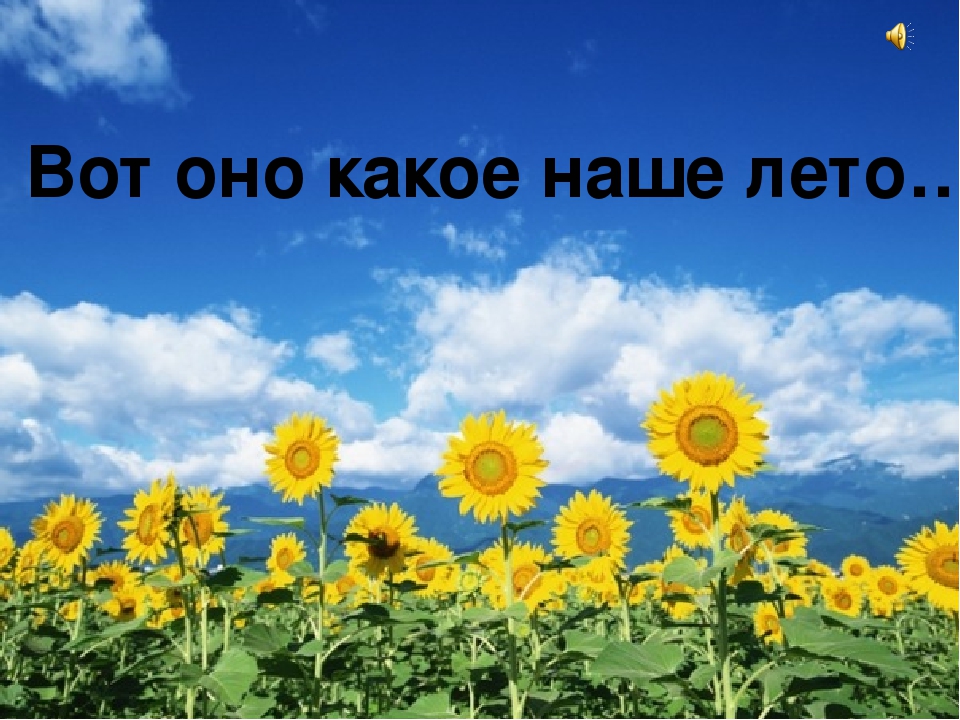 Презентация по развитию речи "Летняя пора" (дошкольники)