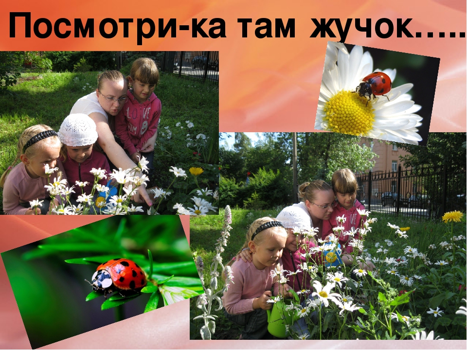 Презентация по развитию речи "Летняя пора" (дошкольники)