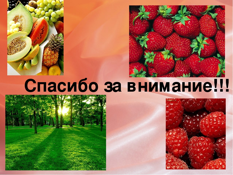 Презентация по развитию речи "Летняя пора" (дошкольники)