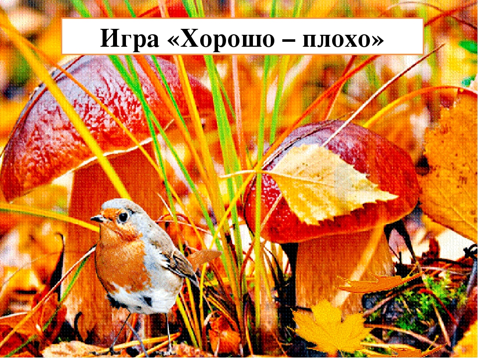 Презентация на тему - Фрукты и овощи