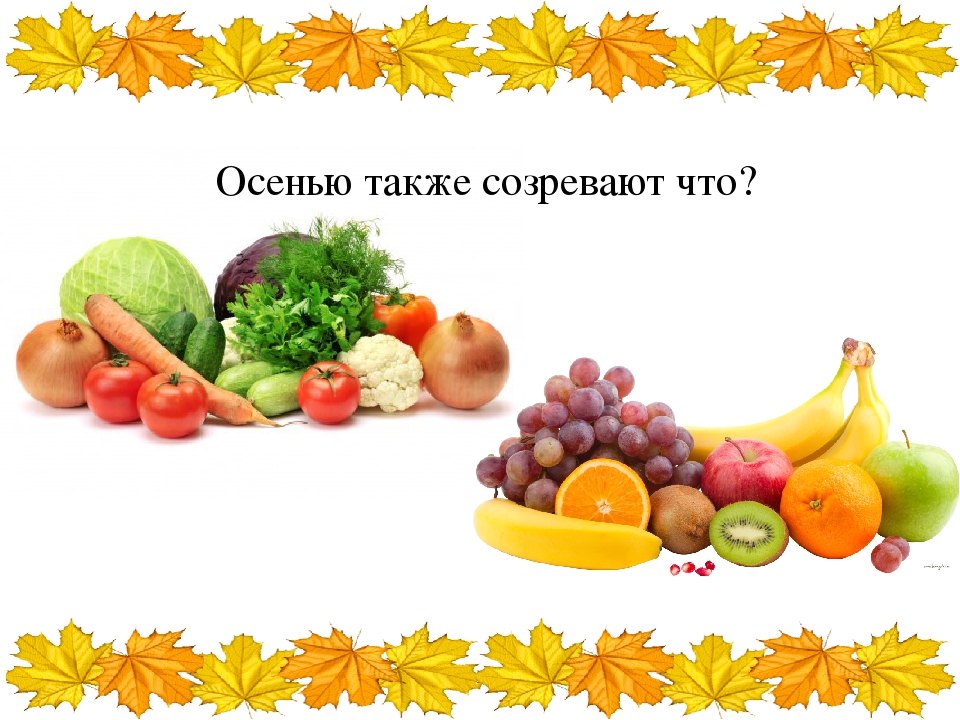 Презентация на тему - Фрукты и овощи