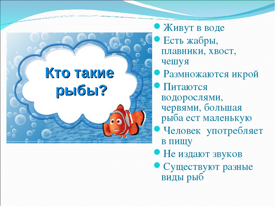 Презентация на тему "Рыбы"
