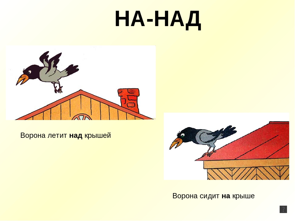 Презентация для детей старшего дошкольного возраста"Предлоги"