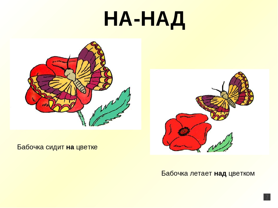 Презентация для детей старшего дошкольного возраста"Предлоги"
