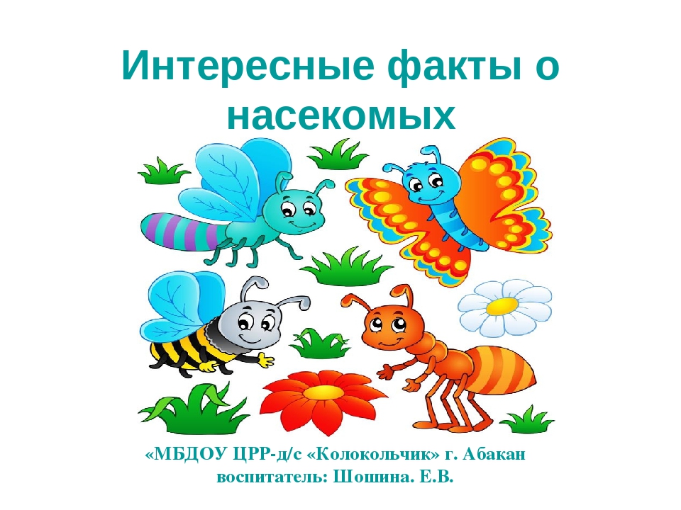 Презентация по развитию речи на тему "Интересные факты о насекомых"