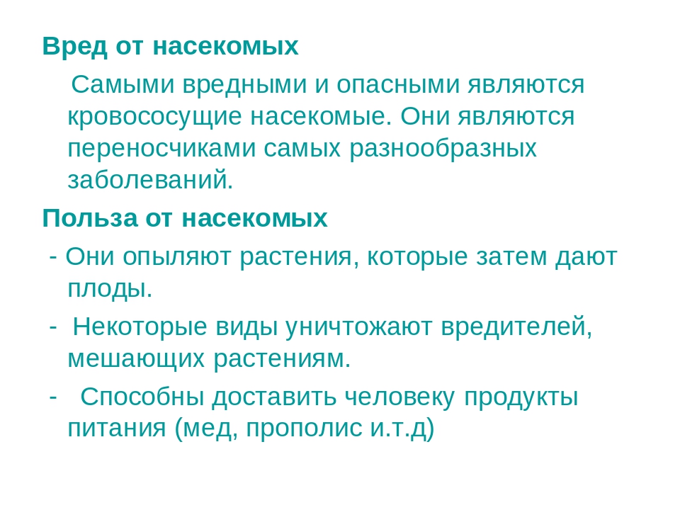 Презентация по развитию речи на тему "Интересные факты о насекомых"