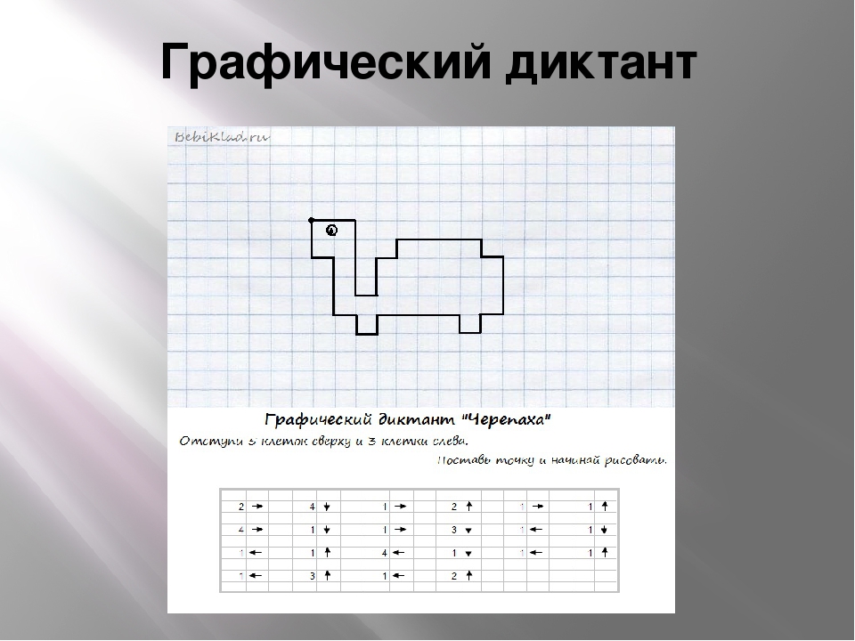 Фото графических диктантов