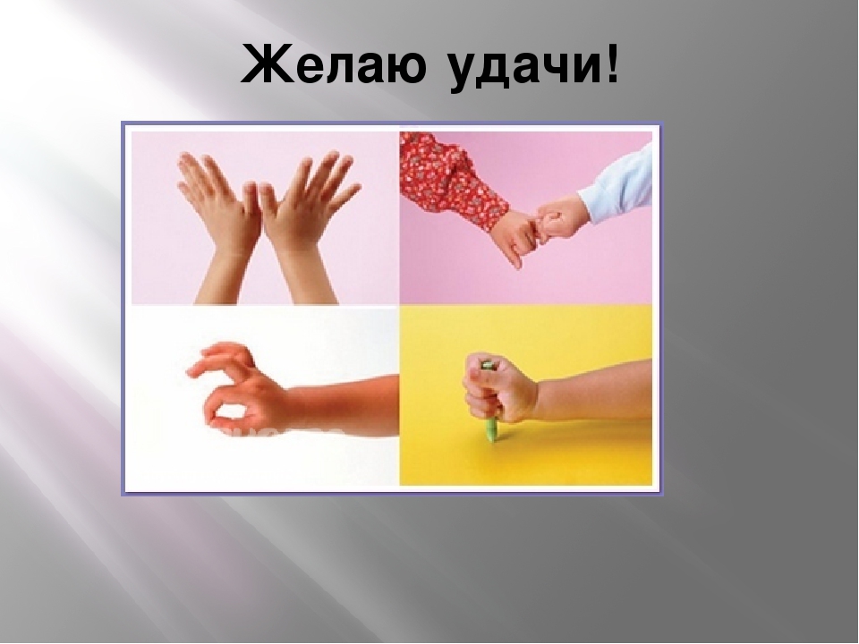 Презентация "Развитие мелкой моторики пальцев рук"