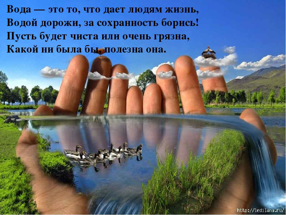 Презентация по экологическому воспитанию в средней группе на тему: «Берегите воду!».