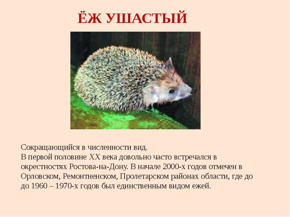 Ростовская область природа и животный мир