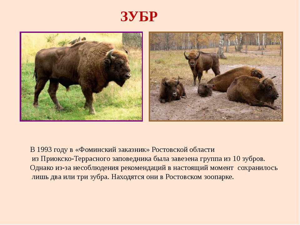 Ростовская область природа и животный мир