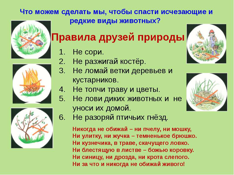 Ростовская область природа и животный мир