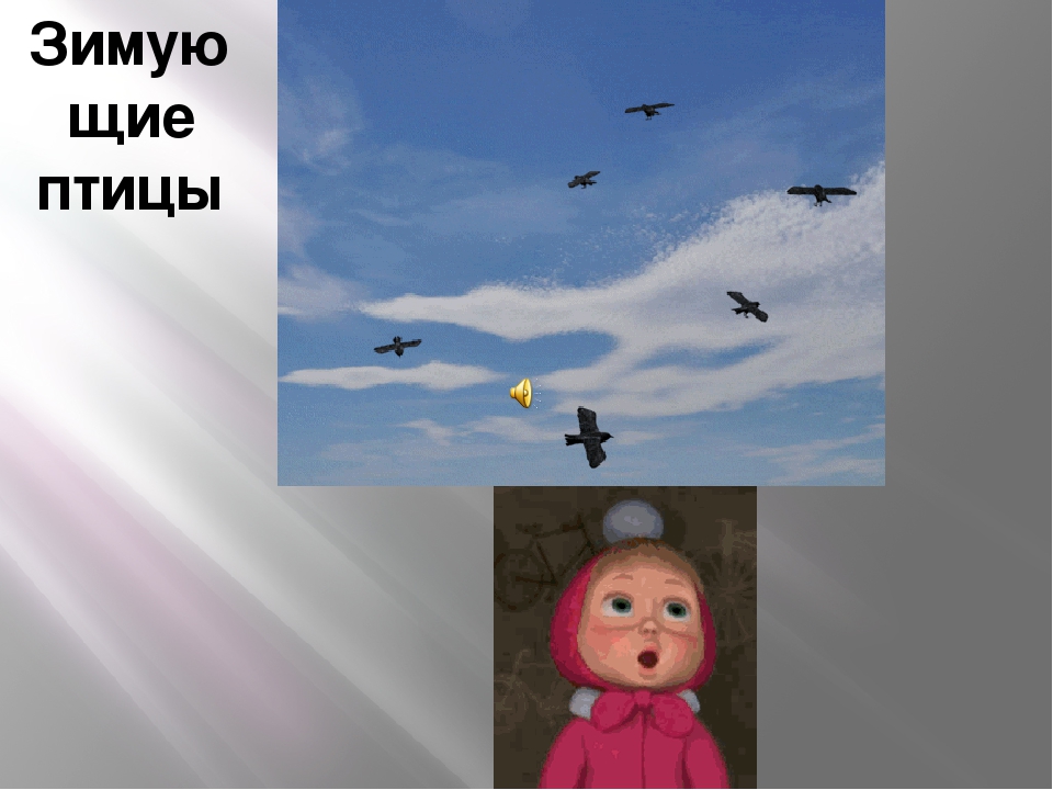 Мультимедийное пособие "Зимующие и перелётные птицы"