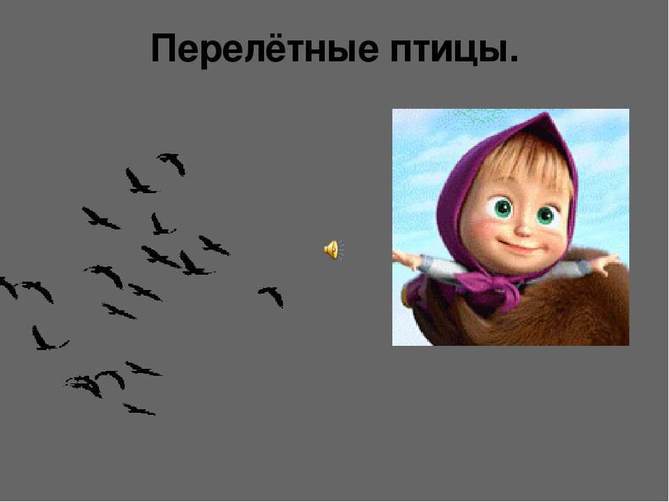 Мультимедийное пособие "Зимующие и перелётные птицы"