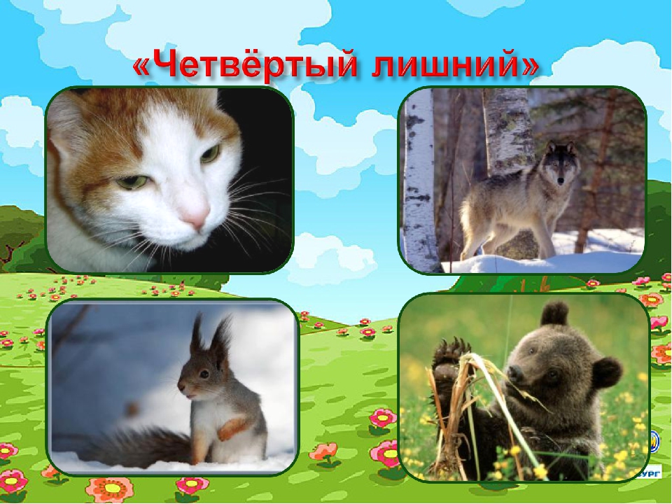 Мультимедийное пособие "Дидактические игры для детей 2 младшей группы"
